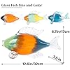 Glass Fish