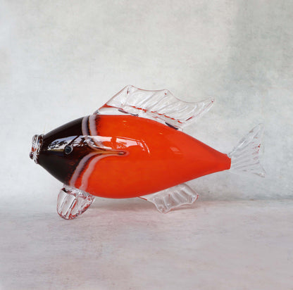 Glass Fish