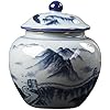 Blue and White Chinese Ceramic Ginger Jar