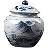 Oriental Porcelain Ginger Jar Classic Vase