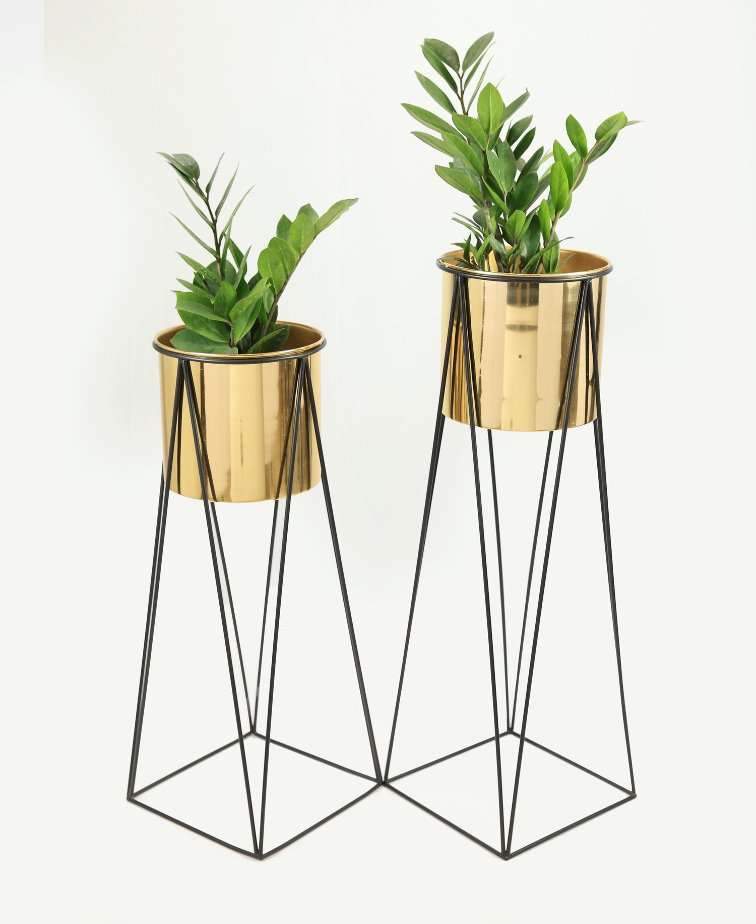 Planters