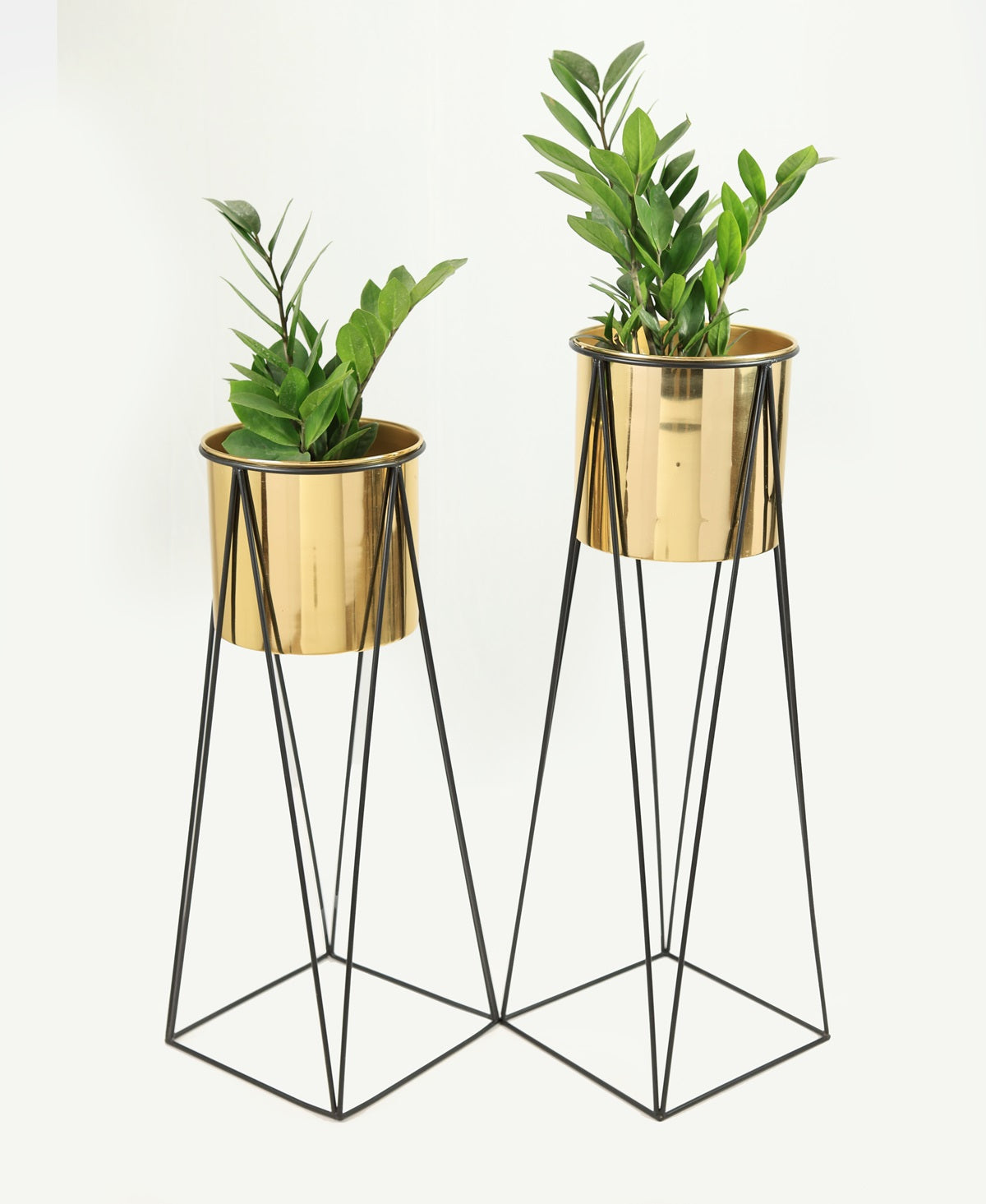 PLANTERS