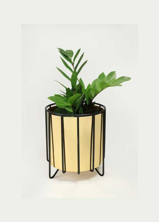 🎁 Gold Pot Metal Planter with Stand (Discount)
