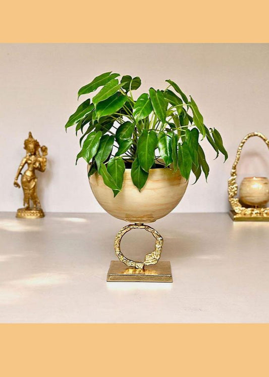 Golden Glass Bowl Centrepiece